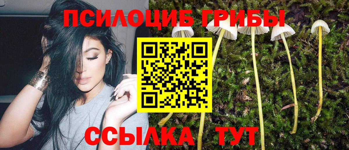 Галлюциногенные грибы ЛСД  Вход с VPN  Северск  Псилоцибиновые грибы Psilocybe 